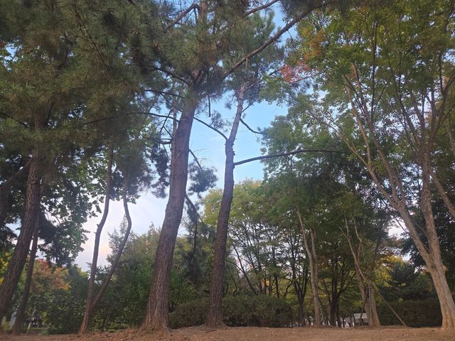 cam_1791707287879.jpg
