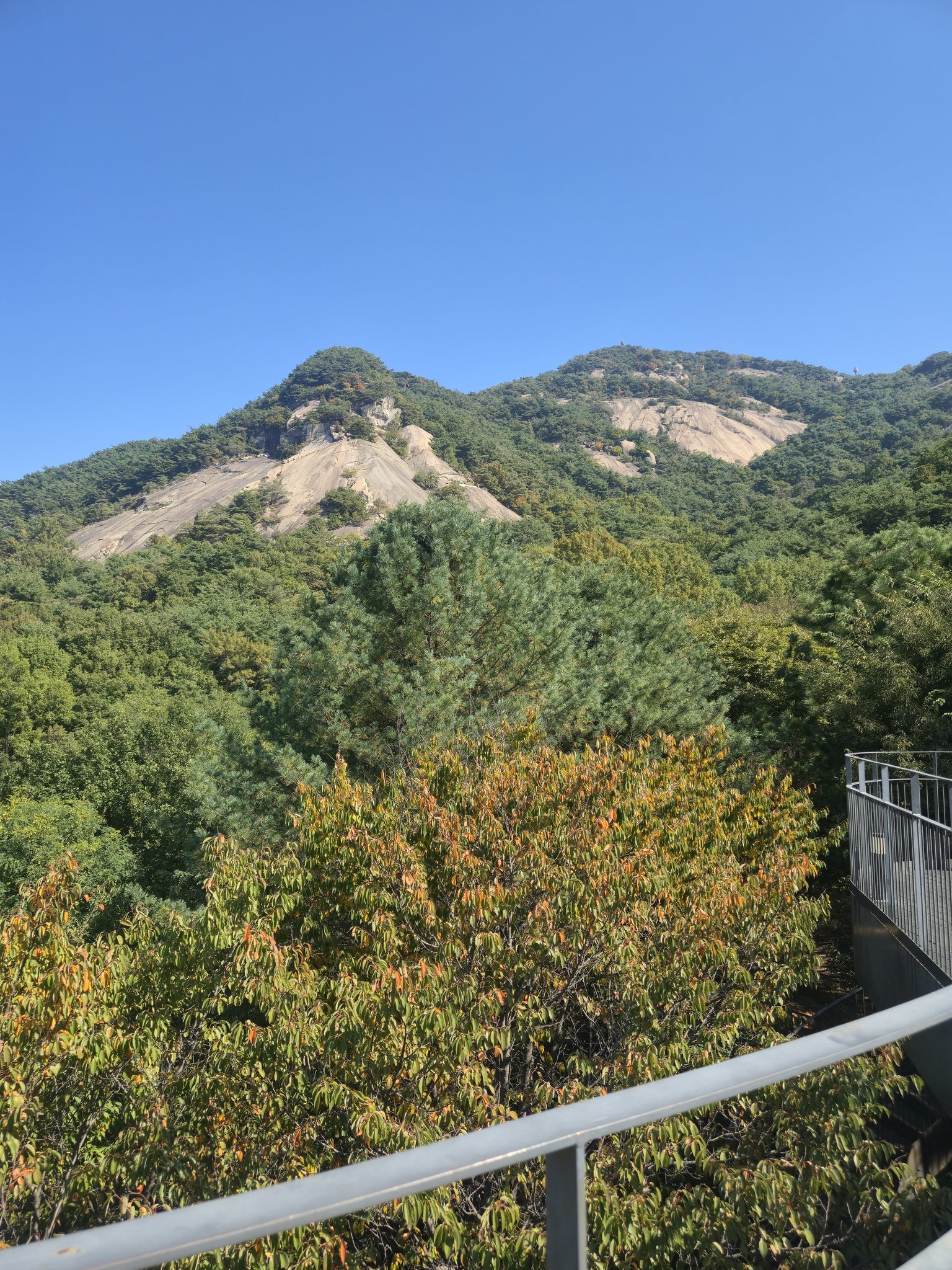 사진 5
